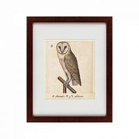 картина: one owl, 1560 в Орле