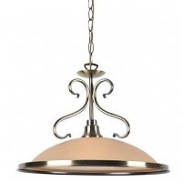 подвесной светильник arte lamp safari a6905sp-1ab в Орле