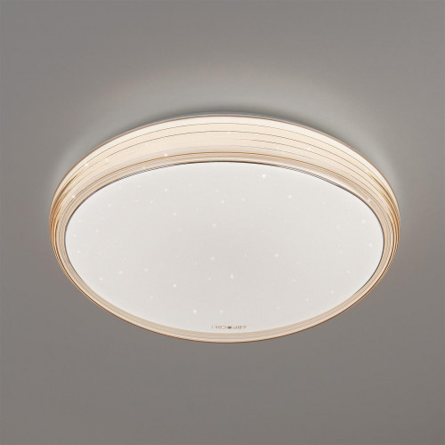 потолочный светодиодный светильник eurosvet universal 40008/1 led кофе в Орле