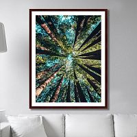 картина: deep forest в Орле