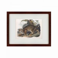 картина: bobcat, 1839 в Орле