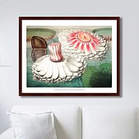 картина: water lily during bloom, 1870г. в Орле