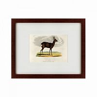 картина: a roebuck, 1830 в Орле