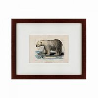 картина: white polar bear on an ice, 1830 в Орле