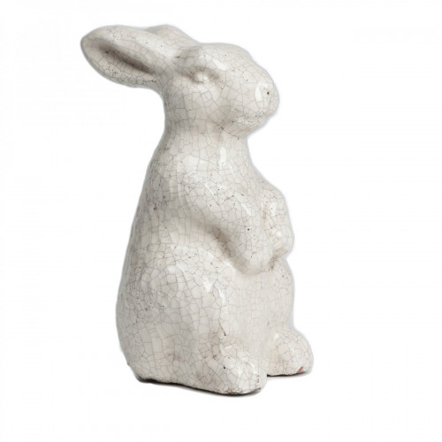 кролик декоративный rabbit в Орле