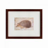 картина: a hedgehog, 1584 в Орле