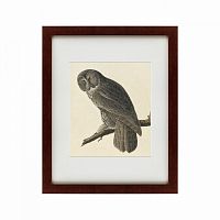картина: great gray owl, 1834 в Орле