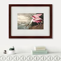 картина: roseate spoonbill, 1827 в Орле