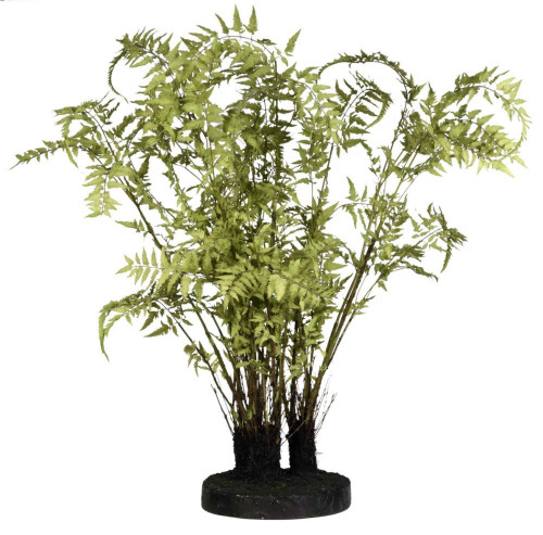 декор ferns в Орле