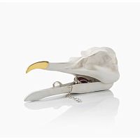 шкатулка для украшений bird skull (белый) в Орле