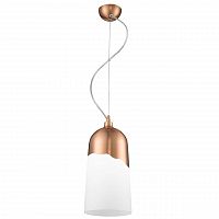 дизайнерский подвесной светильник spot light daga 1676113 в Орле
