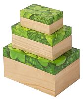 шкатулка leaves small в Орле