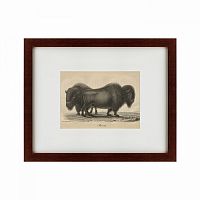 картина: bison, 1828 в Орле