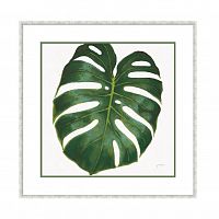 постер monstera зеленый в Орле