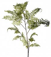 декор fl12056 (giant fern) в Орле