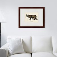 картина: rhinoceros ancienne gravure, 1849 в Орле