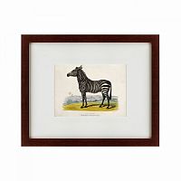 картина: a zebra, 1830 в Орле