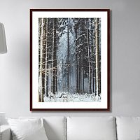 картина: forest, upper austria в Орле