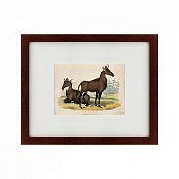 картина: two nilgais, 1830 в Орле