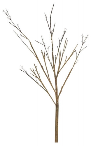 декор twig stem в Орле