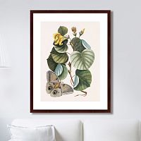 картина: beauty bloom №3, 1732г. в Орле