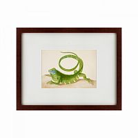 картина: green iguana, 1701 в Орле