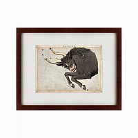 картина: signs of zodiac taurus, 1825 в Орле