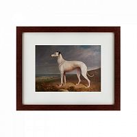 картина: portrait of a greyhound, 1744 в Орле