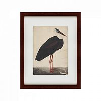 картина: black stork in a landscape, индия, 1780 в Орле