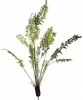 декор fern plant в Орле