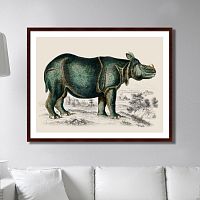 картина: rhinoceros, 1774г. в Орле