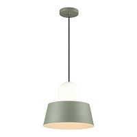 подвесной светильник odeon light alur 4142/1 в Орле