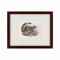 картина: the squirrel, 1879 в Орле