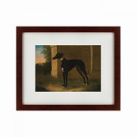 картина: portrait of a greyhound called pompon, 1746 в Орле