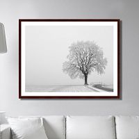картина: the white kingdom в Орле