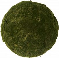 декор moss sun в Орле