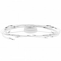 потолочный светильник lightstar ovale 784246 в Орле