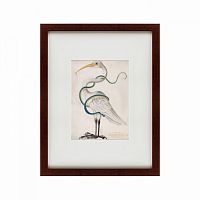 картина: heron encircled by a snake, 1700 в Орле