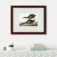 картина: blue-winged teal, 1836 в Орле