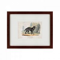 картина: a caracal or lynx, 1830 в Орле