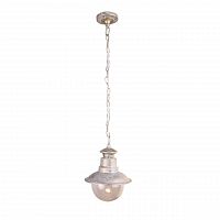 уличный подвесной светильник arte lamp amsterdam a1523so-1wg в Орле