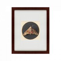 картина: owlet moth, 1700 в Орле
